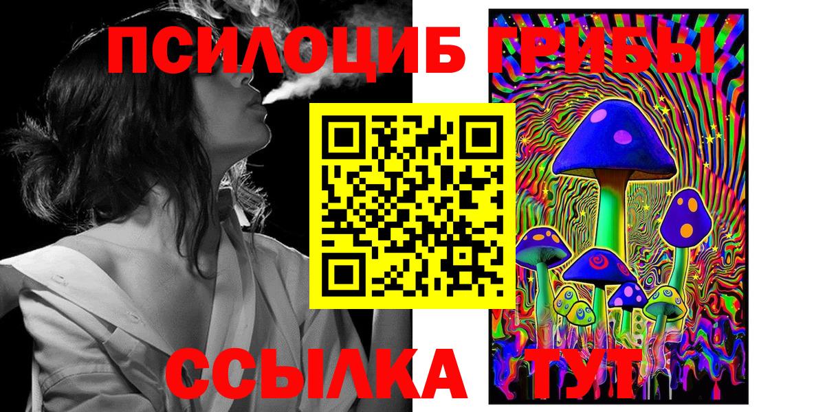 Псилоцибиновые грибы мицелий Уварово